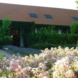 Puchner Kastélyszálló, Bikal - Külső kép