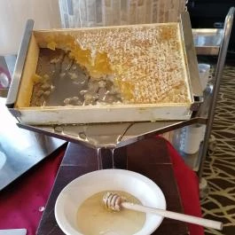 Hunguest Saliris, Egerszalók - Vendéglátás