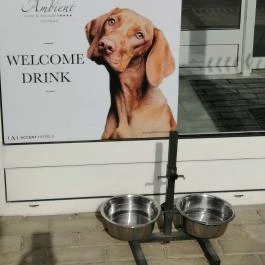 Ambient Hotel & ThermalSPA**** Sikonda - Egyéb