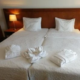 Tisza Balneum Hotel Tiszafüred - Szobák