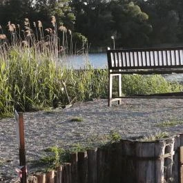 Tisza Balneum Hotel Tiszafüred - Medence/kert