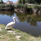 Tisza-tavi Ökocentrum Poroszló - Külső kép