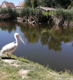 Tisza-tavi Ökocentrum