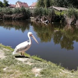 Tisza-tavi Ökocentrum Poroszló - Külső kép