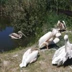 Tisza-tavi Ökocentrum Poroszló - Külső kép