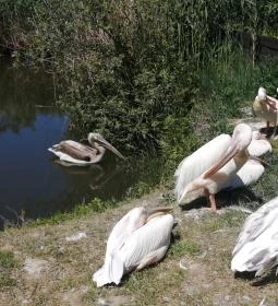 Tisza-tavi Ökocentrum
