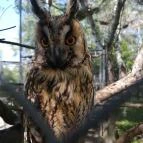 Tisza-tavi Ökocentrum Poroszló - Külső kép