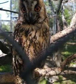 Tisza-tavi Ökocentrum