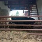 Hotel Vécsecity Hernádvécse - Egyéb