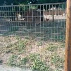 Salföldi Major Salföld - Külső kép