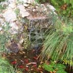 Aranyhal Apartman Hévíz - Környék