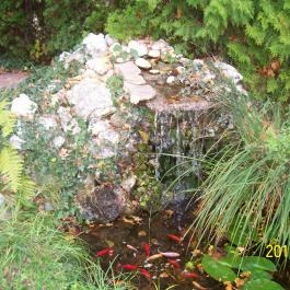 Aranyhal Apartman Hévíz - Környék