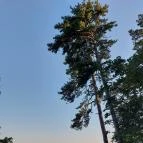 Szaplonczay sétány Fonyód - Egyéb