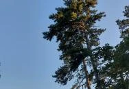 Szaplonczay sétány Fonyód