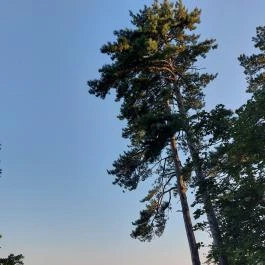 Szaplonczay sétány Fonyód - Egyéb