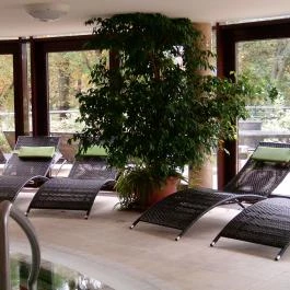 Wellness Hotel Gyula, Gyula - Wellness