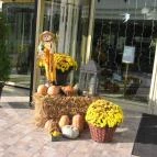 Calimbra Konferencia & Wellness Hotel Miskolctapolca - Külső kép