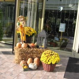 Calimbra Konferencia & Wellness Hotel Miskolctapolca - Külső kép