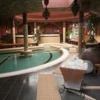 Puchner Kastélyszálló Bikal - Wellness