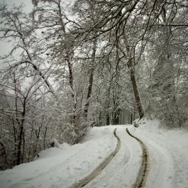 Ágneslak Fogadó és Vadászház Ökoturisztikai Centrum, Csurgónagymarton - Környék