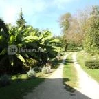 Cso-Szi Vendégház ?rtilos - Medence/kert