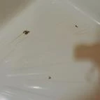 Erzsébet Park Hotel Parádfürdő - Egyéb