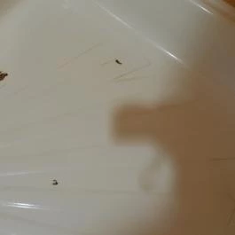 Erzsébet Park Hotel, Parádfürdő - Egyéb