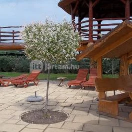 Szőlőszem Farm Apartmanszálló, Tiszaszőlős - Medence/kert