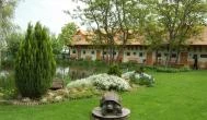 Szőlőszem Farm Apartmanszálló Tiszaszőlős - Medence/kert