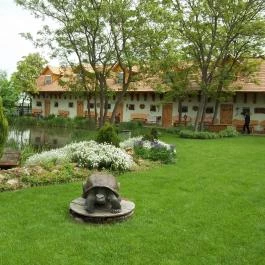 Szőlőszem Farm Apartmanszálló Tiszaszőlős - Medence/kert