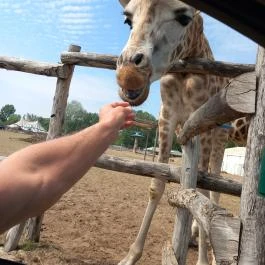 Richter Safari Park Nagykőrös - Egyéb
