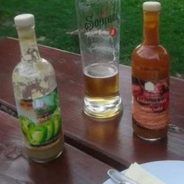 Tóbisztró, Bácsalmás - Étel/ital