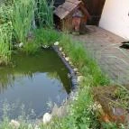 Fecskefészek Vendégház Ôriszentpéter - Medence/kert