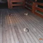 Petneházy Club Hotel Budapest - Egyéb