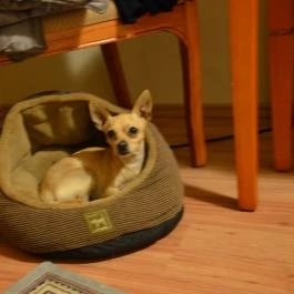 Hotel Bellevue Esztergom - Szobák