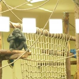 Veszprémi Állatkert, Veszprém - 