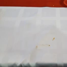 Bognár Étterem Ôriszentpéter - Egyéb