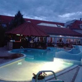 Duna Relax & Event Hotel, Ráckeve - Medence/kert