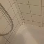 Fenyőharaszt Kastélyszálló Verseg - Egyéb