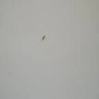 Hotel Bonvino Wine & Spa Badacsony - Egyéb