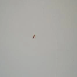 Hotel Bonvino Wine & Spa, Badacsony - Egyéb