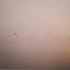 Hotel Bonvino Wine & Spa Badacsony - Egyéb