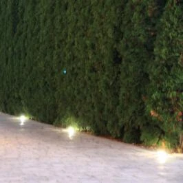 Bajor Panzió Aparthotel Bük, Bükfürd? - Környék