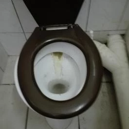 Lillafüred Kapuja Mini Hotel, Lillafüred - Egyéb