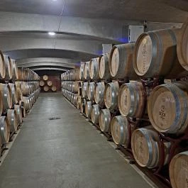 Bock Hotel Ermitage, Villány - Egyéb