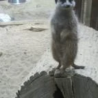 Bambara Hotel Felsőtárkány - Szórakozás/Sport