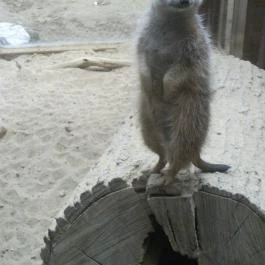 Bambara Hotel, Felsőtárkány - Szórakozás/Sport