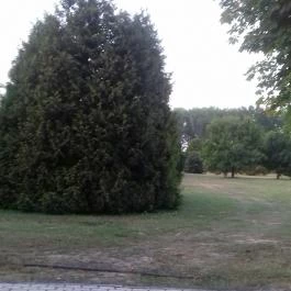 Greenfield Hotel Golf & Spa, Bük, Bükfürd? - Környék