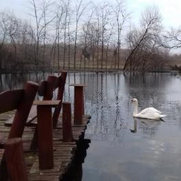 Nyerges Hotel Termál, Monor - Környék
