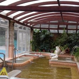 Nyerges Hotel Termál, Monor - Wellness